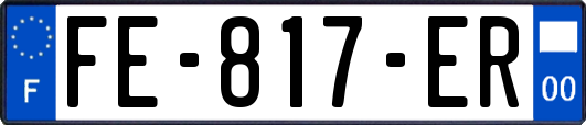 FE-817-ER
