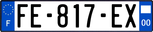FE-817-EX
