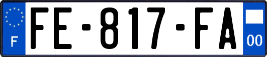 FE-817-FA