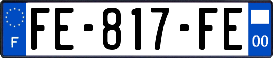 FE-817-FE