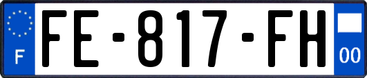 FE-817-FH