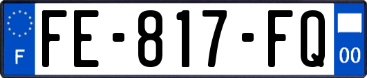 FE-817-FQ