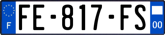 FE-817-FS