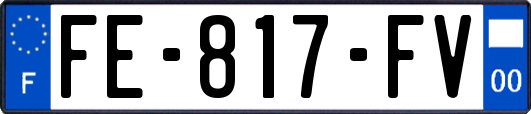 FE-817-FV