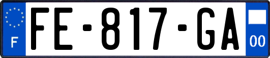 FE-817-GA