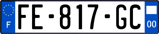 FE-817-GC