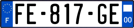 FE-817-GE