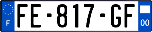 FE-817-GF