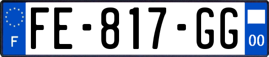 FE-817-GG