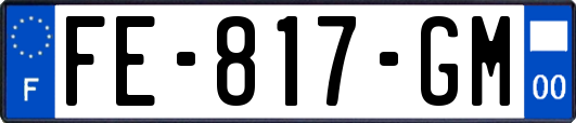 FE-817-GM