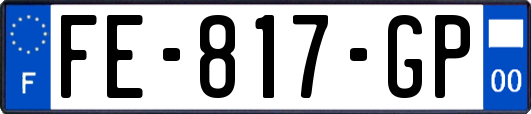 FE-817-GP
