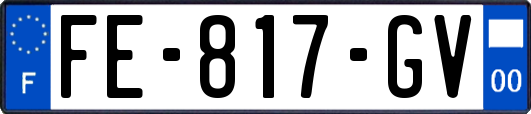 FE-817-GV