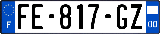 FE-817-GZ