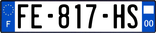 FE-817-HS