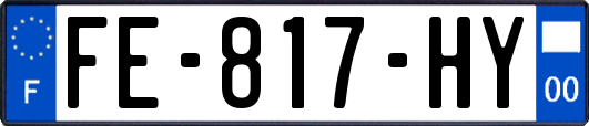 FE-817-HY