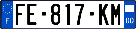 FE-817-KM