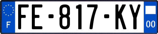 FE-817-KY