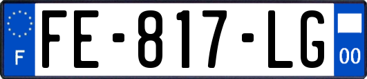 FE-817-LG