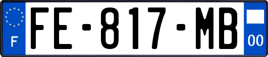 FE-817-MB