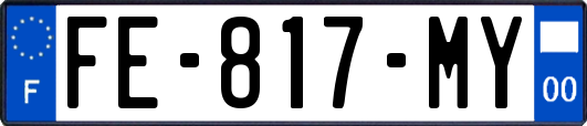 FE-817-MY