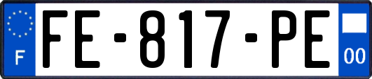 FE-817-PE