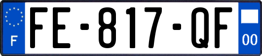 FE-817-QF
