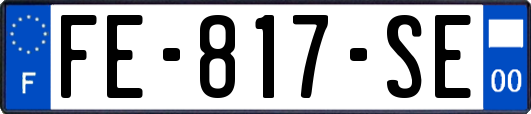 FE-817-SE