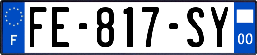 FE-817-SY