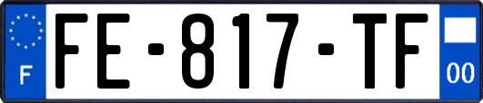 FE-817-TF