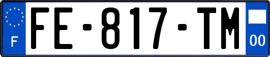 FE-817-TM