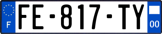 FE-817-TY
