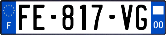 FE-817-VG