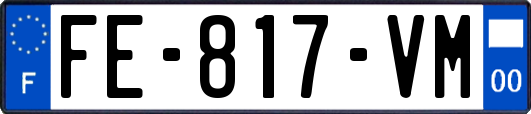 FE-817-VM