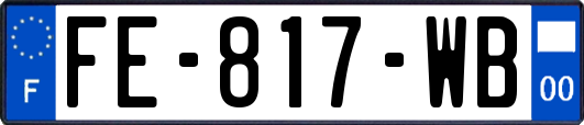 FE-817-WB