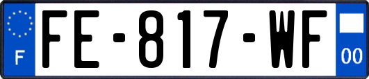 FE-817-WF