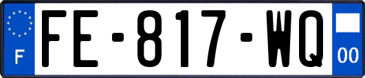 FE-817-WQ