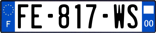 FE-817-WS