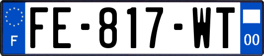 FE-817-WT