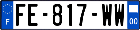 FE-817-WW