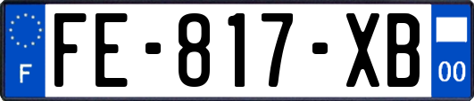 FE-817-XB