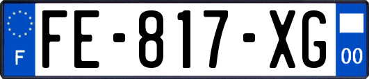 FE-817-XG