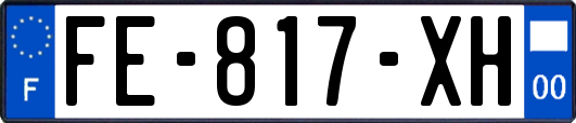 FE-817-XH
