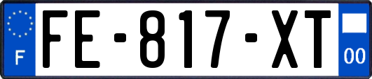 FE-817-XT