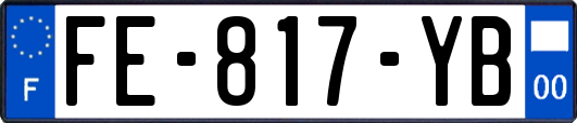 FE-817-YB