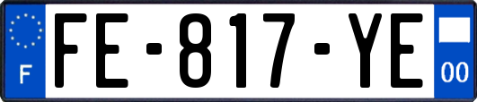 FE-817-YE