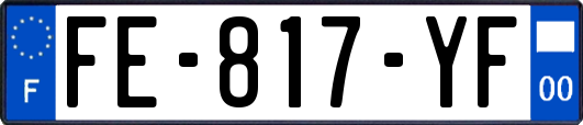 FE-817-YF