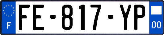 FE-817-YP