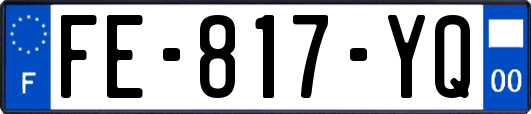 FE-817-YQ