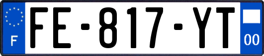 FE-817-YT