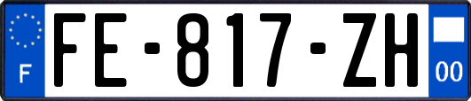 FE-817-ZH